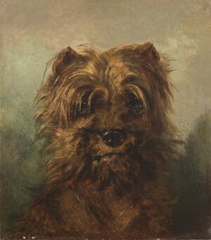 Clara von Wille, Schnauzer, 1879, Bonn, Dr. Axe-Stiftung